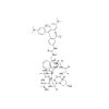 Phalloidin-TRITC