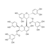 Procyanidin B2 3,3′-di-O-gallate