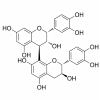 Procyanidin B1