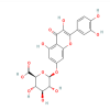 Quercetin 7-O-β-D-Glucuronide