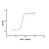 Recombinant human FGF1 protein