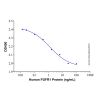 Recombinant Human FGFR1 Protein