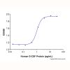 Recombinant Human G-CSF Protein