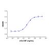 Recombinant Mouse G-CSF Protein