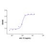Recombinant Mouse IL-13 Protein - by