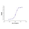 Recombinant Mouse IL-2 Protein