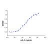 Recombinant Mouse IL-3 Protein - by