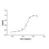 Recombinant Mouse IL-4 Protein - by