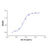 Recombinant Mouse IL-6 Protein