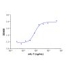 Recombinant mouse IL-7 protein