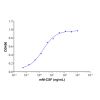 Recombinant Mouse M-CSF Protein - , expressed in , from , ＞90% SDS-PAGE, used for , CAS No.