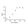 Recombinant Rat IL-6 Protein -    by
