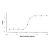 Recombinant Rat Prolactin Protein - by