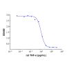 Recombinant Rat TNF-alpha Protein