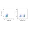 Recombinant Streptavidin Protein (R-PE) -    by Aladdin Scientific
