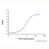 Recombinant Human CD5 Protein