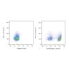 Recombinant Streptavidin Protein (APC) -    by Aladdin Scientific