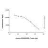 Recombinant Human KRAS (G12D) Protein