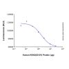 Recombinant Human KRAS (G12V) Protein