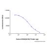 Recombinant Human KRAS (G12S) Protein