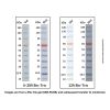 Prestained Color Protein MW Marker (10-180kDa) -    by Aladdin Scientific