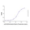 Biotinylated Alkaline Phosphatase - CAS No(9001-78-9) by Aladdin Scientific