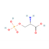 L-O-Phosphoserine（L-SOP）, Agonist of mGlu 4 receptor;Agonist of mGlu 6 receptor;Agonist of mGlu 7 receptor;Agonist of mGlu 8 receptor