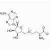 S-Adenosyl-L-methionine