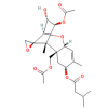 T-2 Toxin