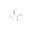 (R)-2-hydroxy-3,3-dimethylbutanoic acid