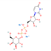 UDP-ALPHA-D-GALACTOSE DISODIUM SALT - ≥95% CAS No(137868-52-1) by Aladdin Scientific