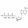 UltraPure dATP (100mM)