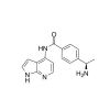 Y-33075, Rho-associated protein kinase inhibitor