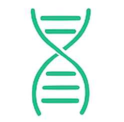 Molecular Biology